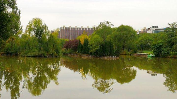 聚焦中小学生心理健康 云南代表委员建议增配心理教师、社工